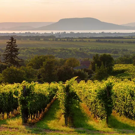 In 31229 Vakantiehuis Balatonmáriafürdő