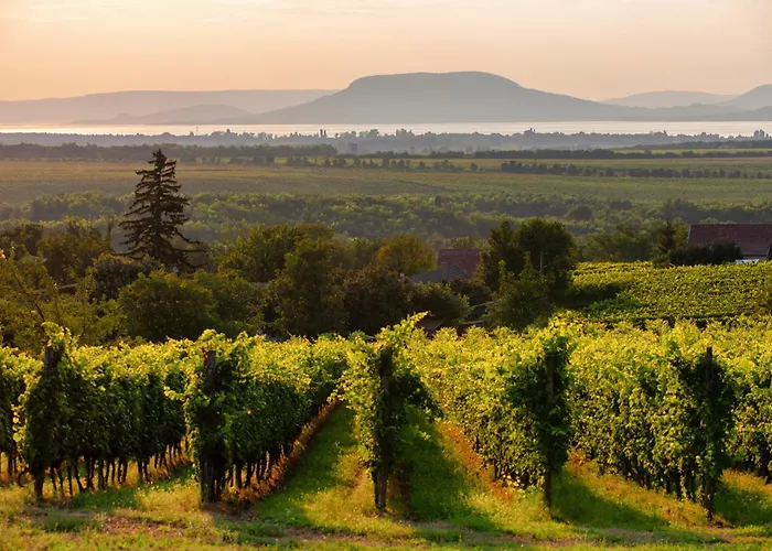 In 31229 Feriehus Balatonmáriafürdő